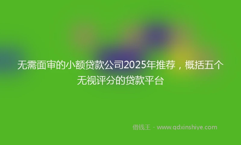 无需面审的小额贷款公司2025年推荐，概括五个无视评分的贷款平台
