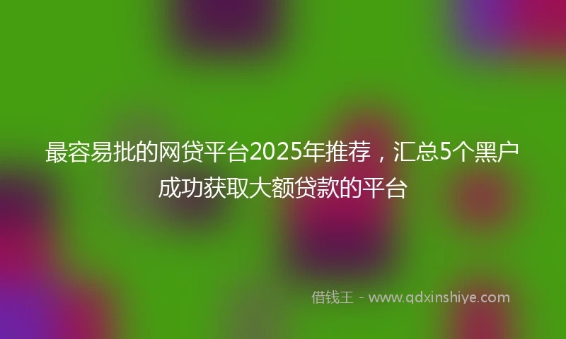 最容易批的网贷平台2025年推荐,汇总5个黑户成功获取大额贷款的平台