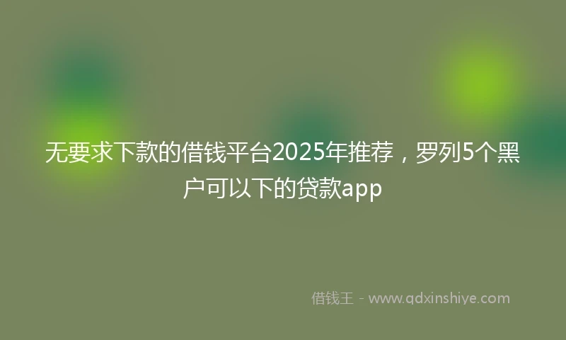 无要求下款的借钱平台2025年推荐，罗列5个黑户可以下的贷款app