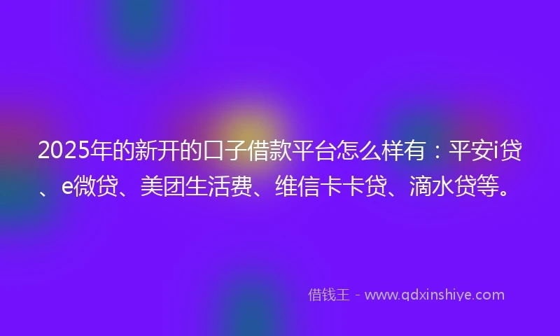 2025年的新开的口子借款平台怎么样有：平安i贷、e微贷、美团生活费、维信卡卡贷、滴水贷等。