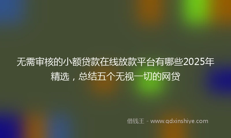 无需审核的小额贷款在线放款平台有哪些2025年精选，总结五个无视一切的网贷