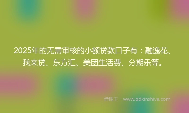 2025年的无需审核的小额贷款口子有：融逸花、我来贷、东方汇、美团生活费、分期乐等。