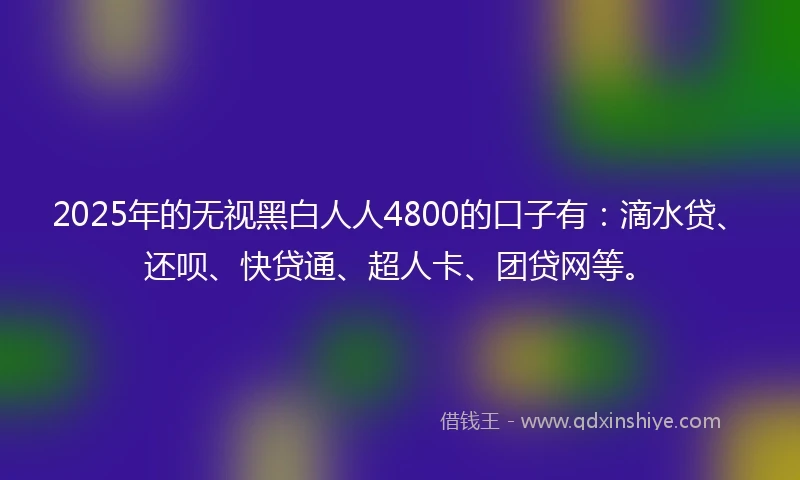 2025年的无视黑白人人4800的口子有：滴水贷、还呗、快贷通、超人卡、团贷网等。