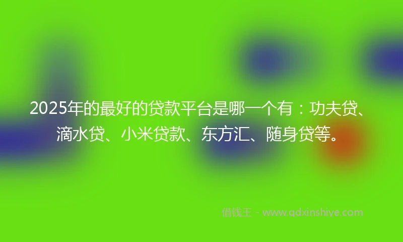 2025年的最好的贷款平台是哪一个有：功夫贷、滴水贷、小米贷款、东方汇、随身贷等。
