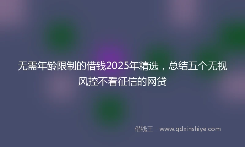 无需年龄限制的借钱2025年精选，总结五个无视风控不看征信的网贷