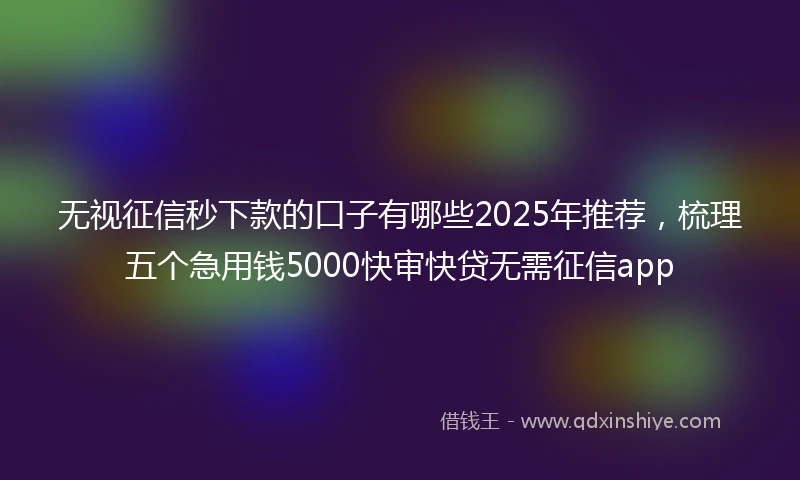 无视征信秒下款的口子有哪些2025年推荐，梳理五个急用钱5000快审快贷无需征信app