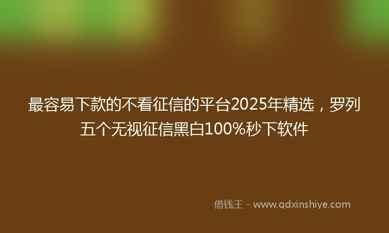 最容易下款的不看征信的平台2025年精选，罗列五个无视征信黑白100%秒下软件