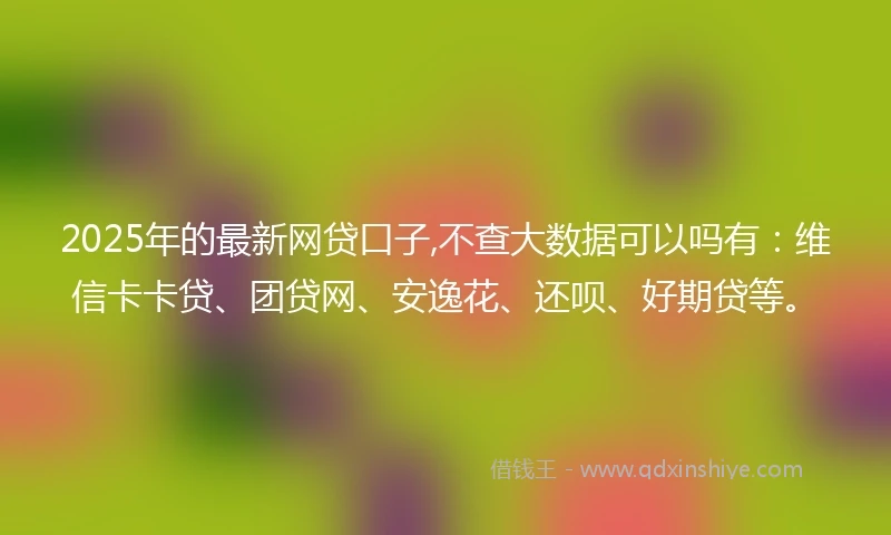 2025年的最新网贷口子,不查大数据可以吗有：维信卡卡贷、团贷网、安逸花、还呗、好期贷等。
