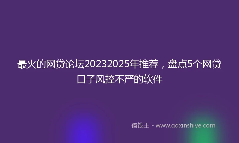 最火的网贷论坛20232025年推荐,盘点5个网贷口子风控不严的软件