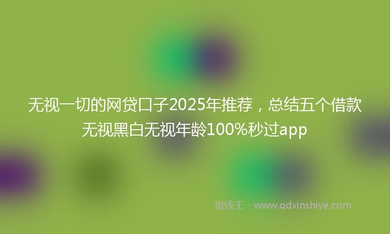 无视一切的网贷口子2025年推荐，总结五个借款无视黑白无视年龄100%秒过app