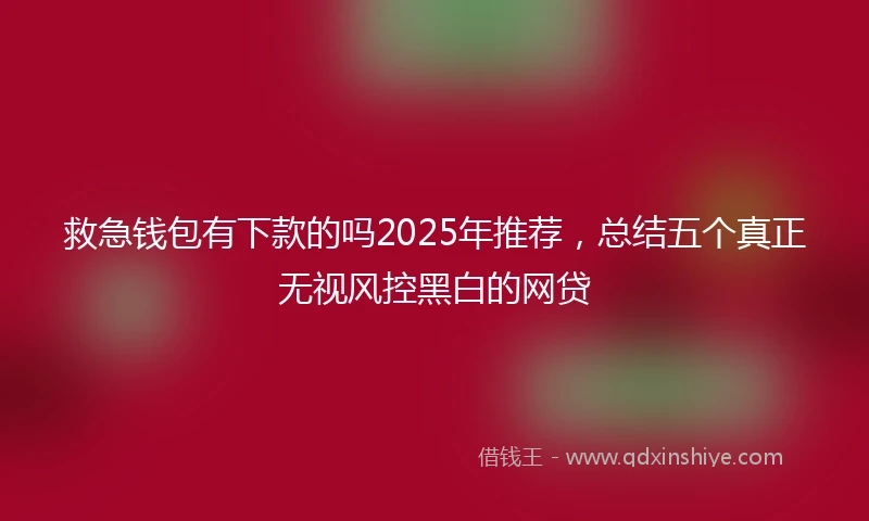救急钱包有下款的吗2025年推荐，总结五个真正无视风控黑白的网贷