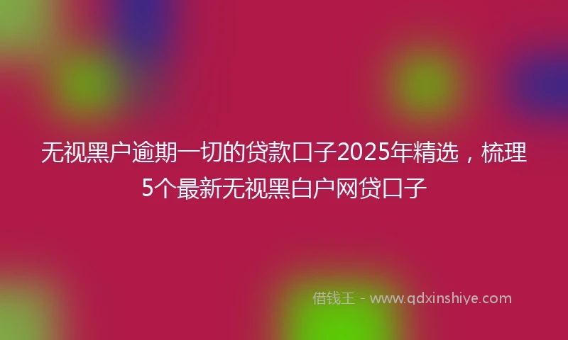 无视黑户逾期一切的贷款口子2025年精选，梳理5个最新无视黑白户网贷口子