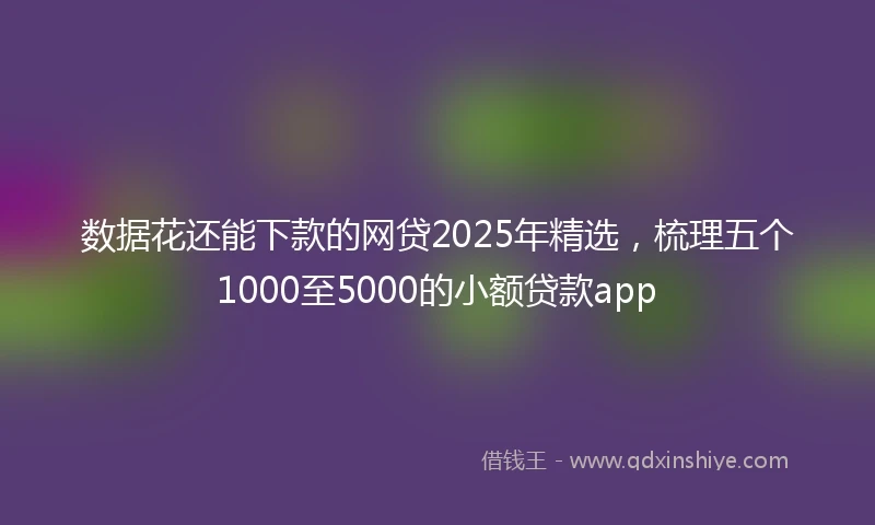 数据花还能下款的网贷2025年精选，梳理五个1000至5000的小额贷款app