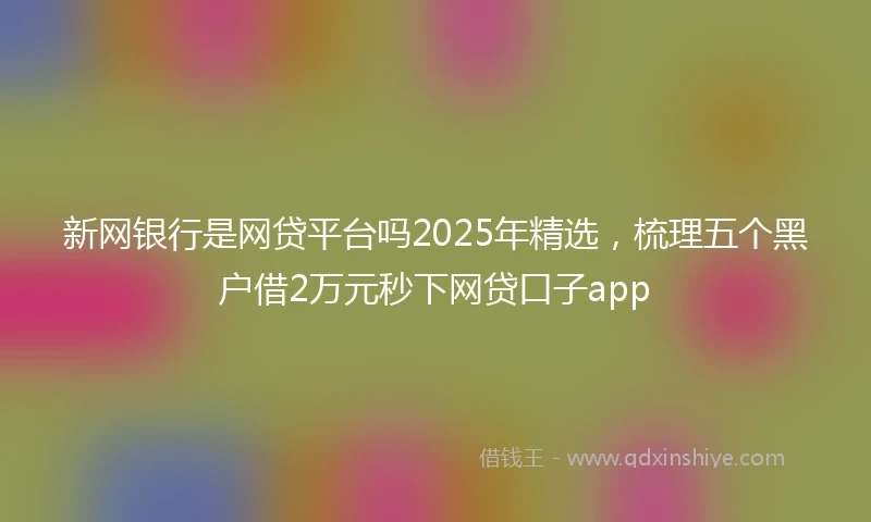 新网银行是网贷平台吗2025年精选，梳理五个黑户借2万元秒下网贷口子app