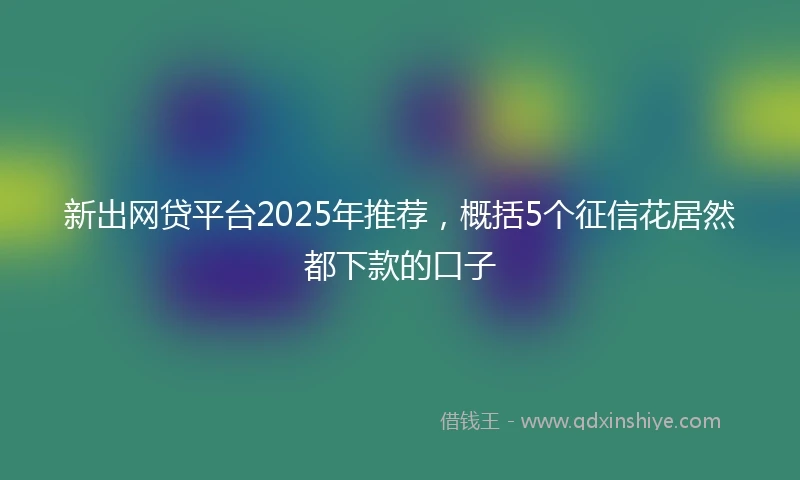 新出网贷平台2025年推荐，概括5个征信花居然都下款的口子