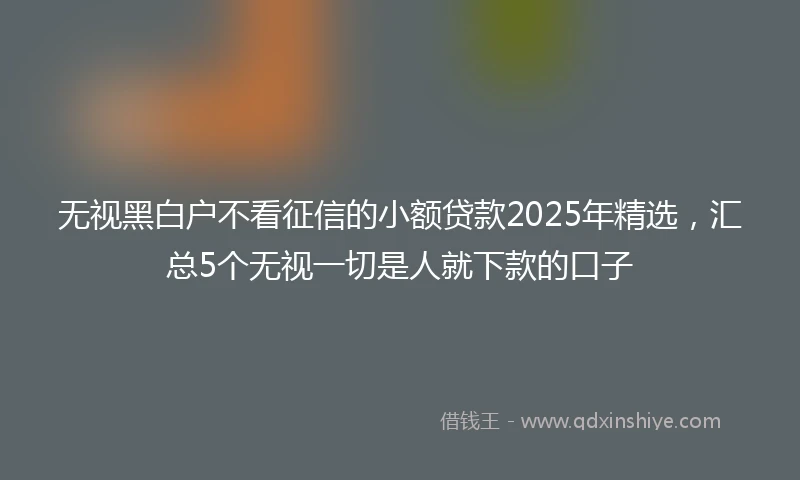 无视黑白户不看征信的小额贷款2025年精选，汇总5个无视一切是人就下款的口子