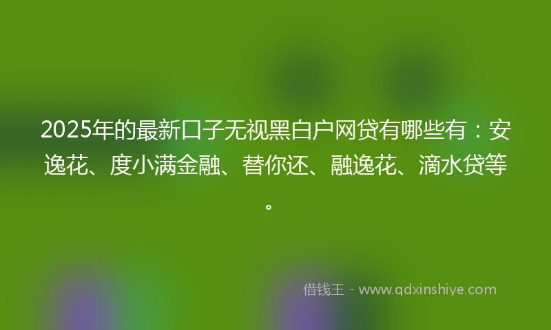 2025年的最新口子无视黑白户网贷有哪些有：安逸花、度小满金融、替你还、融逸花、滴水贷等。