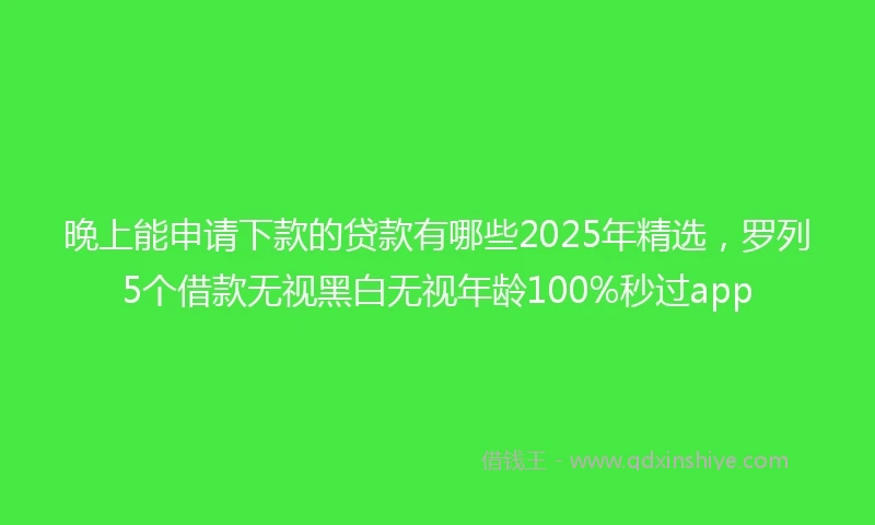 晚上能申请下款的贷款有哪些2025年精选，罗列5个借款无视黑白无视年龄100%秒过app