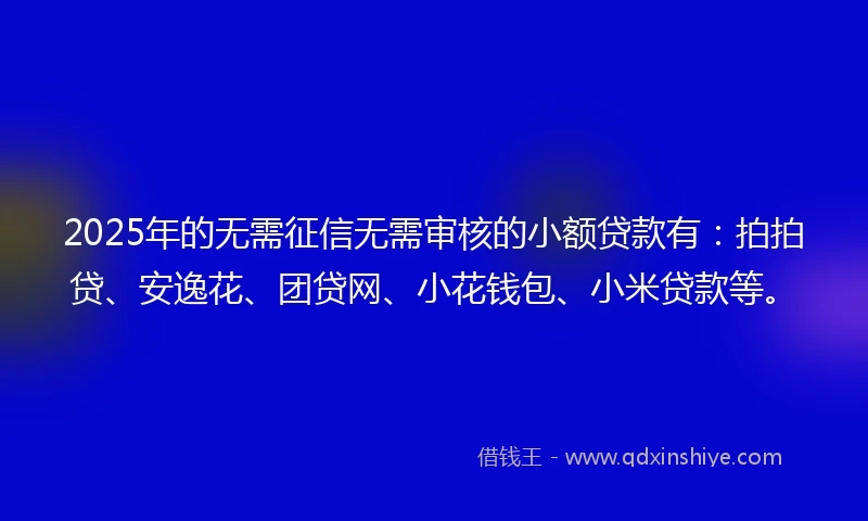 2025年的无需征信无需审核的小额贷款有：拍拍贷、安逸花、团贷网、小花钱包、小米贷款等。