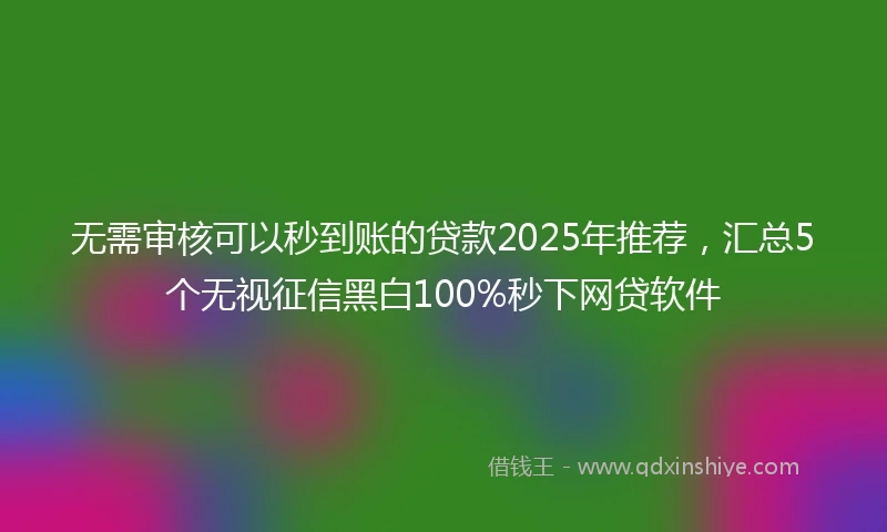 无需审核可以秒到账的贷款2025年推荐，汇总5个无视征信黑白100%秒下网贷软件