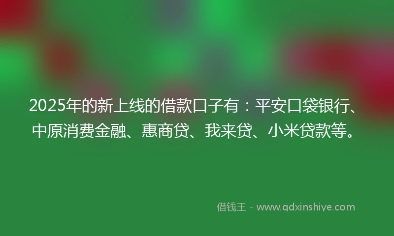 2025年的新上线的借款口子有：平安口袋银行、中原消费金融、惠商贷、我来贷、小米贷款等。