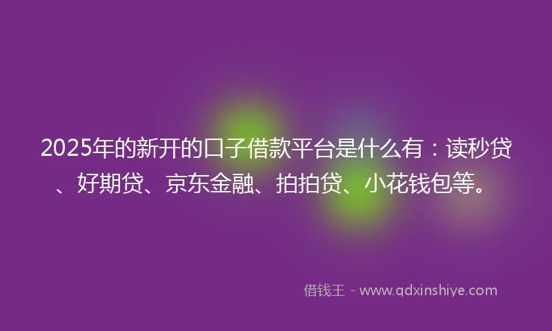 2025年的新开的口子借款平台是什么有：读秒贷、好期贷、京东金融、拍拍贷、小花钱包等。