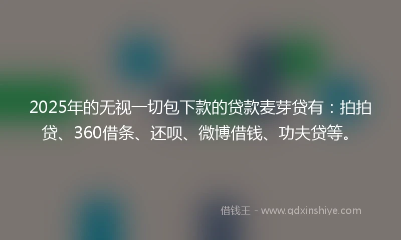 2025年的无视一切包下款的贷款麦芽贷有：拍拍贷、360借条、还呗、微博借钱、功夫贷等。