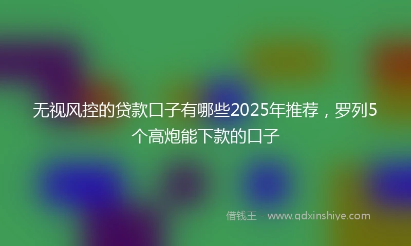 无视风控的贷款口子有哪些2025年推荐，罗列5个高炮能下款的口子