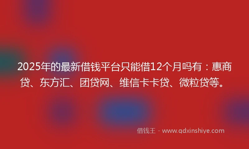 2025年的最新借钱平台只能借12个月吗有：惠商贷、东方汇、团贷网、维信卡卡贷、微粒贷等。