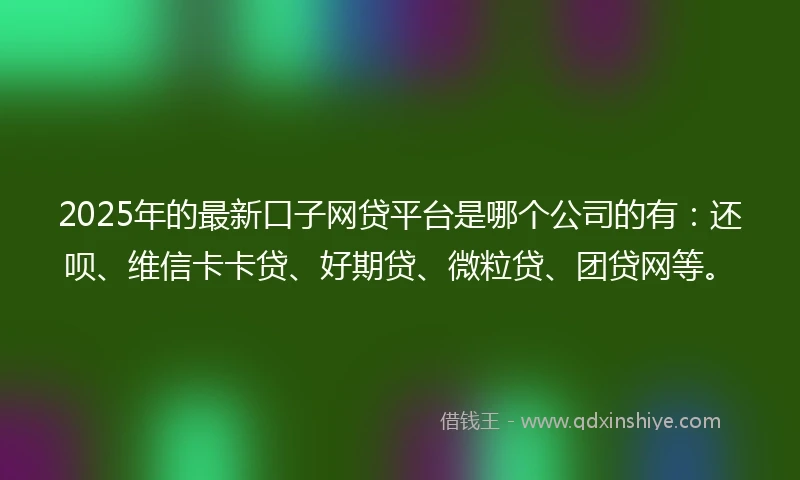 2025年的最新口子网贷平台是哪个公司的有：还呗、维信卡卡贷、好期贷、微粒贷、团贷网等。