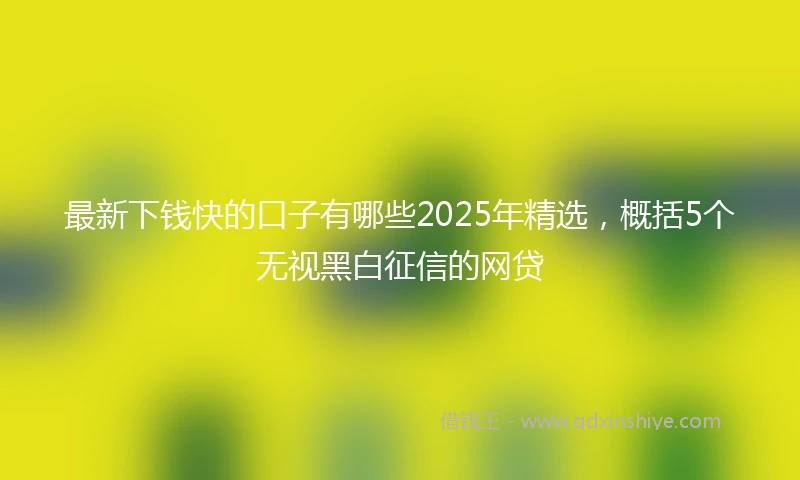 最新下钱快的口子有哪些2025年精选,概括5个无视黑白征信的网贷
