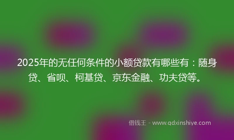 2025年的无任何条件的小额贷款有哪些有：随身贷、省呗、柯基贷、京东金融、功夫贷等。