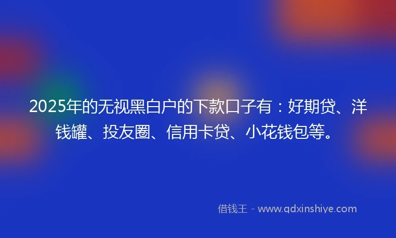 2025年的无视黑白户的下款口子有：好期贷、洋钱罐、投友圈、信用卡贷、小花钱包等。