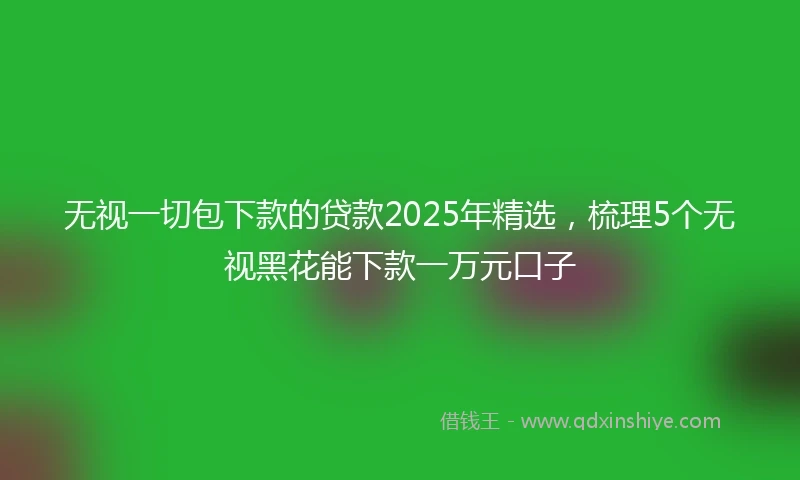 无视一切包下款的贷款2025年精选，梳理5个无视黑花能下款一万元口子
