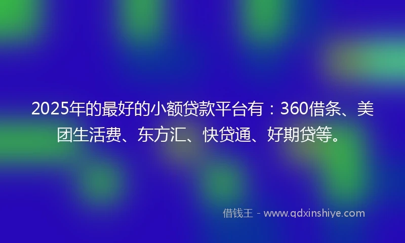 2025年的最好的小额贷款平台有：360借条、美团生活费、东方汇、快贷通、好期贷等。