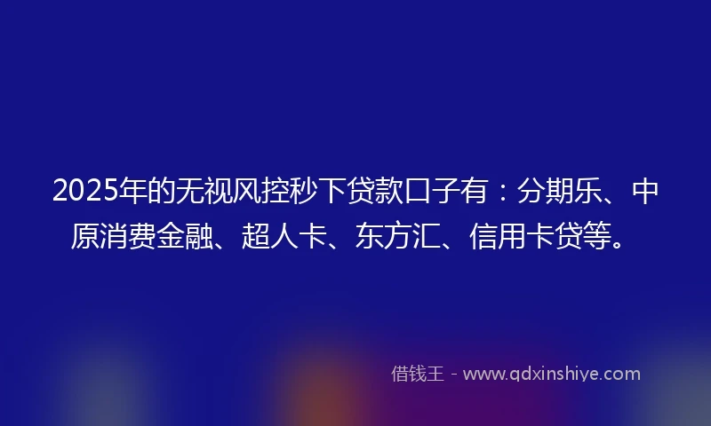 2025年的无视风控秒下贷款口子有:分期乐、中原消费金融、超人卡、东方汇、信用卡贷等。