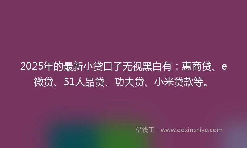 2025年的最新小贷口子无视黑白有：惠商贷、e微贷、51人品贷、功夫贷、小米贷款等。