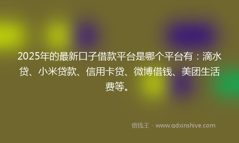 2025年的最新口子借款平台是哪个平台有：滴水贷、小米贷款、信用卡贷、微博借钱、美团生活费等。