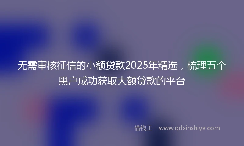 无需审核征信的小额贷款2025年精选，梳理五个黑户成功获取大额贷款的平台