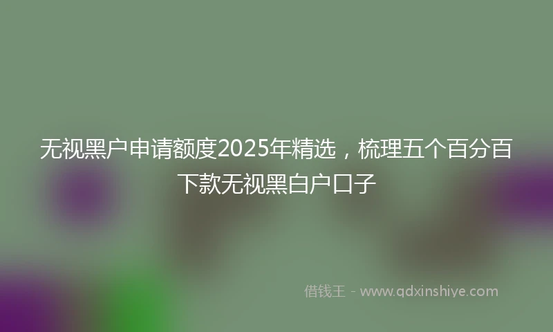 无视黑户申请额度2025年精选,梳理五个百分百下款无视黑白户口子