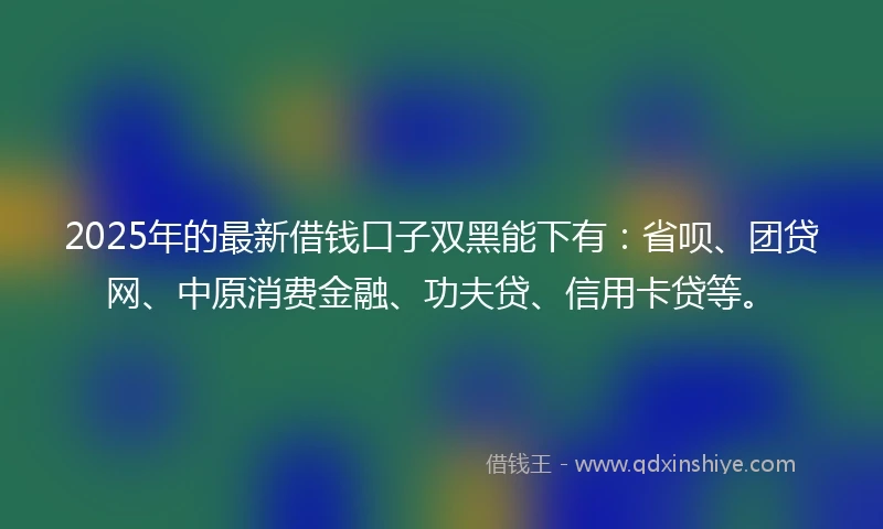 2025年的最新借钱口子双黑能下有：省呗、团贷网、中原消费金融、功夫贷、信用卡贷等。
