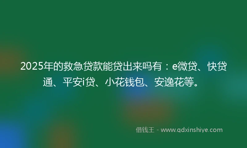 2025年的救急贷款能贷出来吗有：e微贷、快贷通、平安i贷、小花钱包、安逸花等。