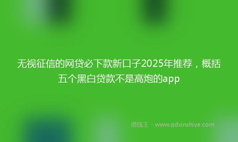 无视征信的网贷必下款新口子2025年推荐，概括五个黑白贷款不是高炮的app