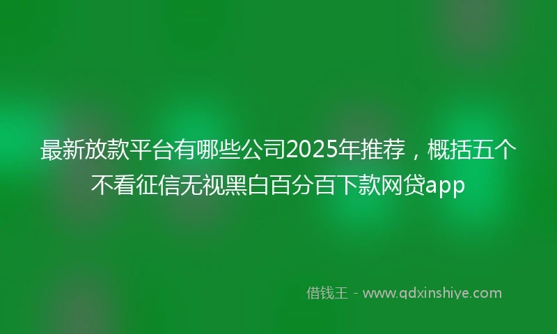 最新放款平台有哪些公司2025年推荐，概括五个不看征信无视黑白百分百下款网贷app