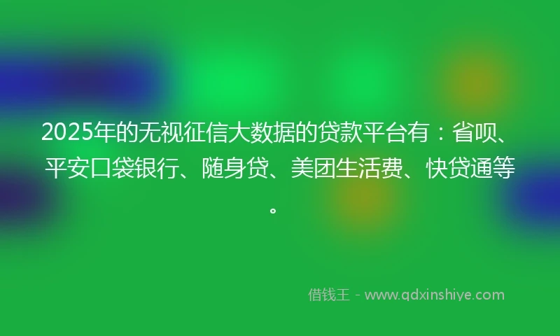 2025年的无视征信大数据的贷款平台有：省呗、平安口袋银行、随身贷、美团生活费、快贷通等。