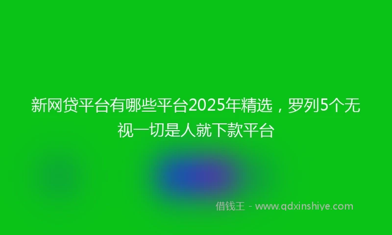 新网贷平台有哪些平台2025年精选，罗列5个无视一切是人就下款平台