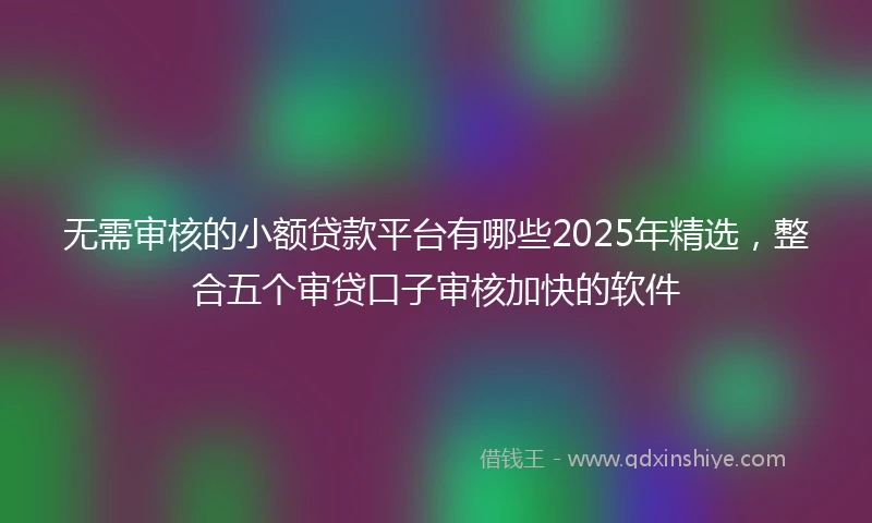 无需审核的小额贷款平台有哪些2025年精选，整合五个审贷口子审核加快的软件