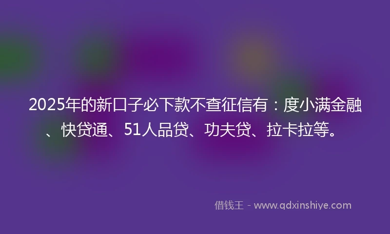 2025年的新口子必下款不查征信有：度小满金融、快贷通、51人品贷、功夫贷、拉卡拉等。