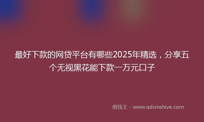 最好下款的网贷平台有哪些2025年精选，分享五个无视黑花能下款一万元口子