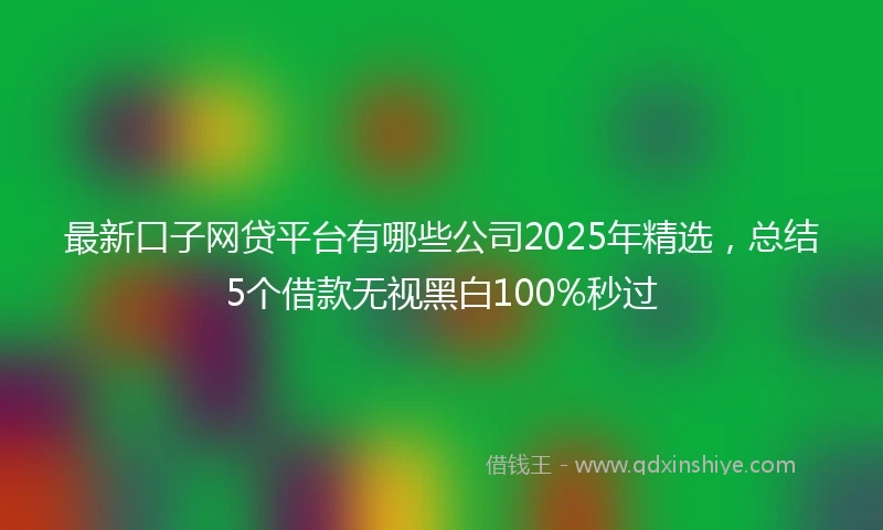 最新口子网贷平台有哪些公司2025年精选，总结5个借款无视黑白100%秒过